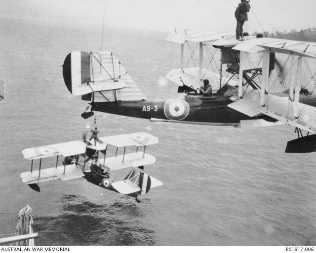 Albatross1817.jpg