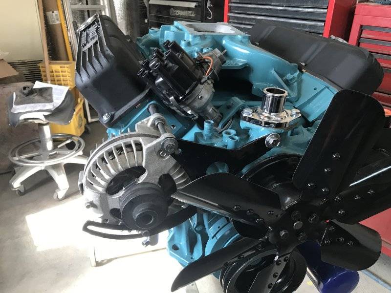 Alternator and Distributor installed.JPG