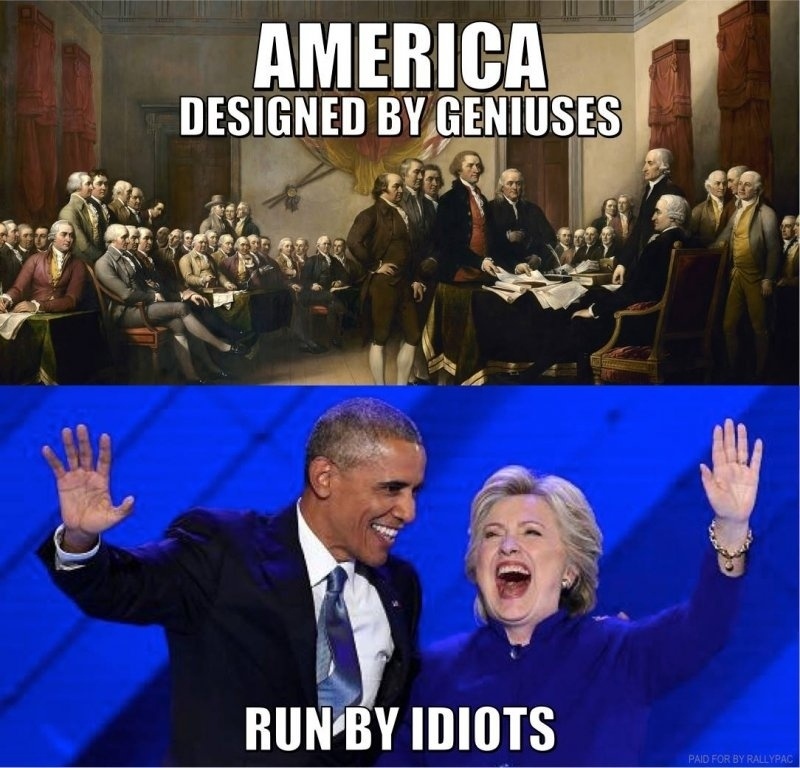 America Designed by Genious & Run by Idoits.jpg