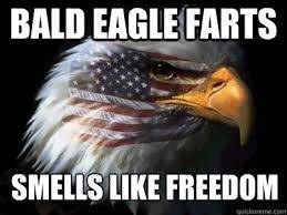 American Bald Eagle Farts smell like freedom.jpg