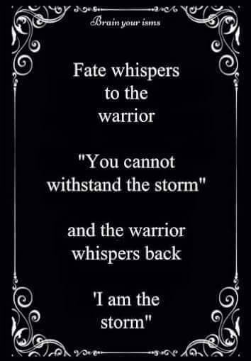 American Military Warrior Quote I am the strom.jpg