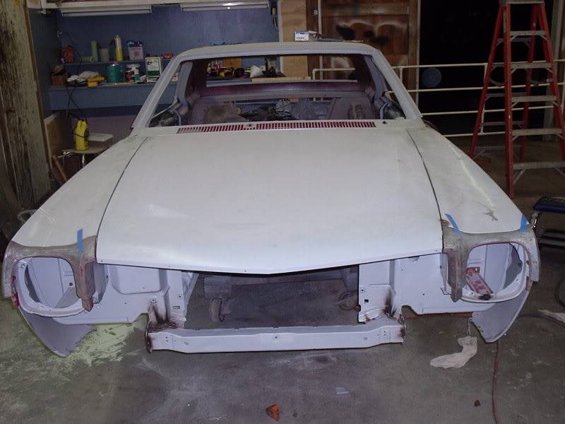 amx007.jpg
