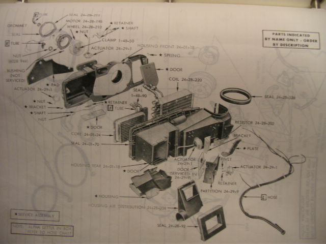 annas 800.jpg