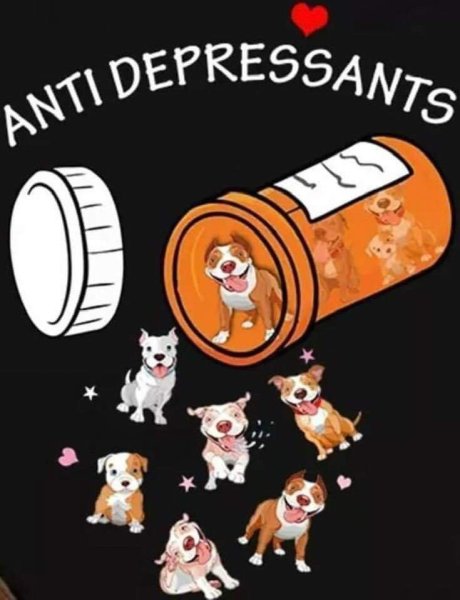 Anti.JPG