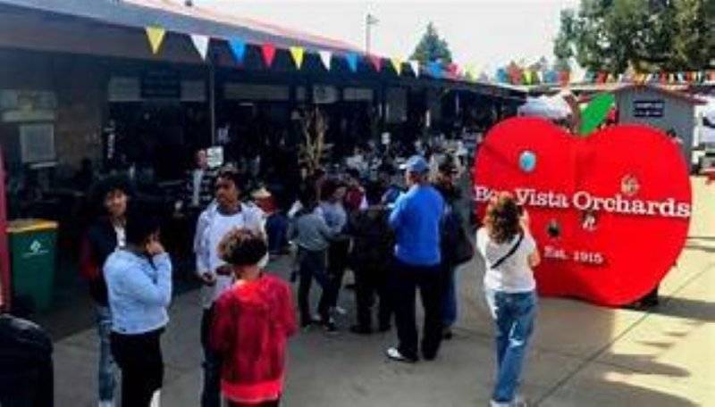 APPLE HILL 3 (Small).jpg
