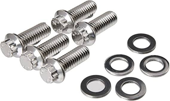 ARP 12 pt head Stainless bolts - intake.jpg