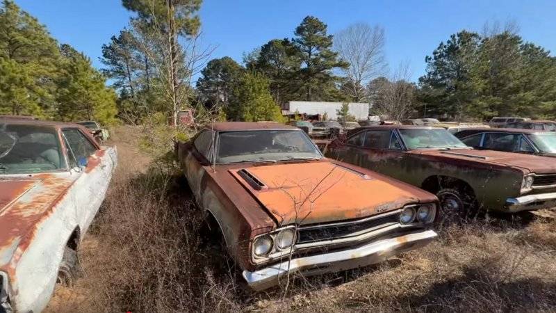 As-Far-As-The-Eye-Can-See-This-Hoard-Of-Classic-Cars-Is-Unbelievable.jpg