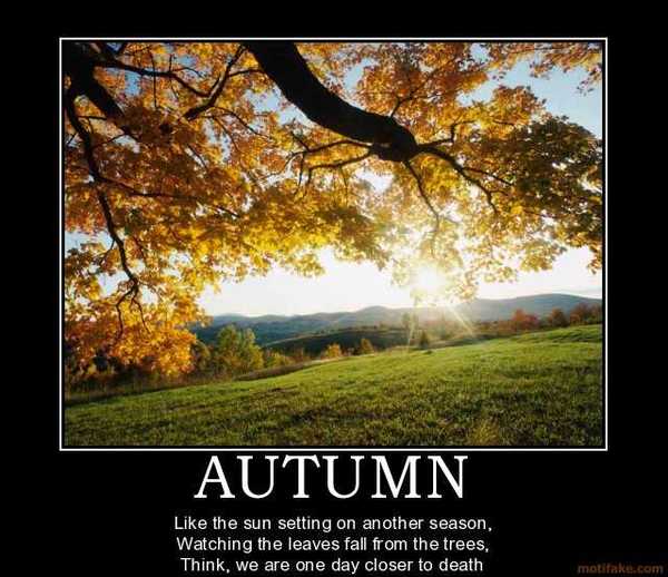 autumn-demotivational-poster-1255906803.jpg