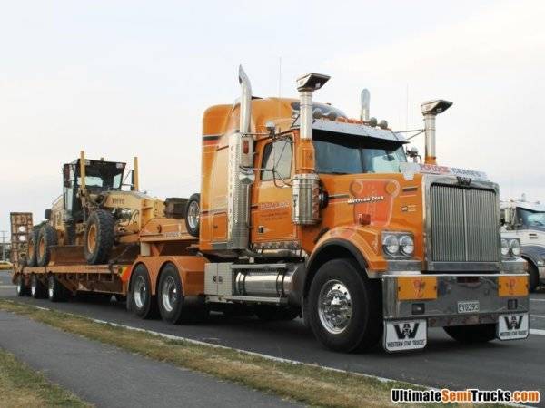 b0003_pollock_western_star.jpg