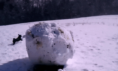 B288E1E6-E64F-4D7A-9CB3-1CD67903E49E.gif