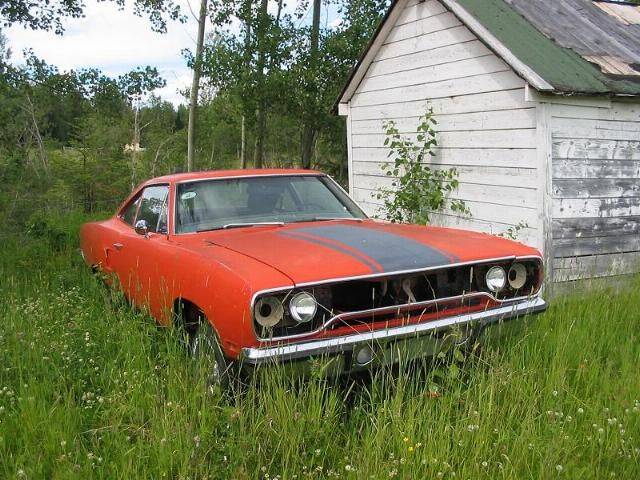 b2aa600d3d54dfb9426088500470e8ab.jpg