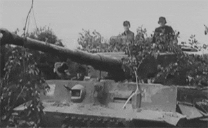 b311d20b2310042eef13e22028d81b77.gif