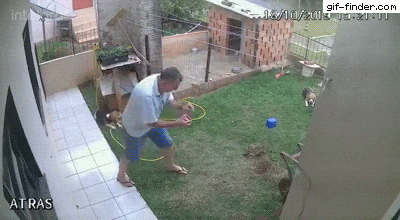 b3a0756ef7f38ac7627656227e8343bc.gif