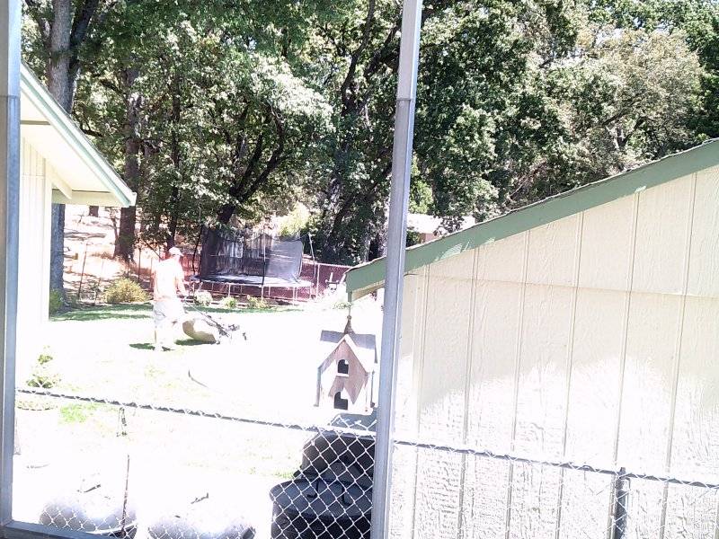 Back yard gravel burnout by Baron 006.JPG