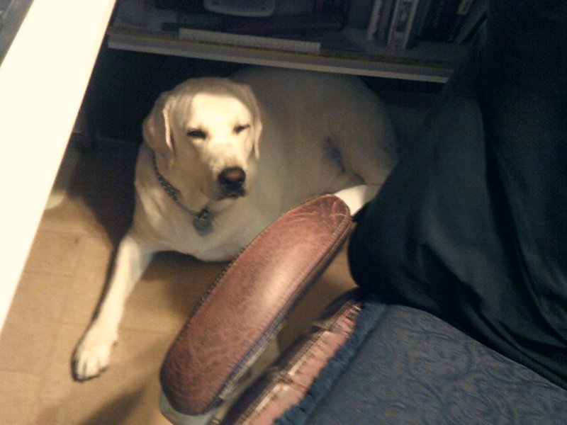 Back yard gravel burnout by Baron 009.JPG