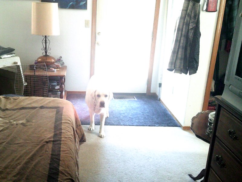 Baron June & early July 2025 002.JPG