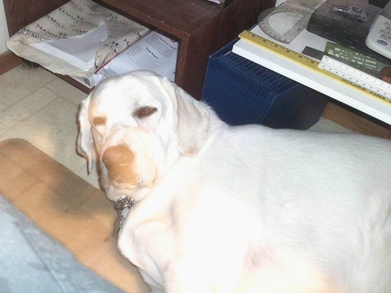 Baron June & early July 2025 026.JPG