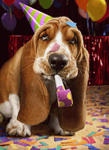 basset-party-blower-birthday-card.gif