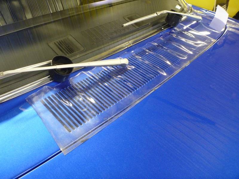 beebirdstorage 003.JPG