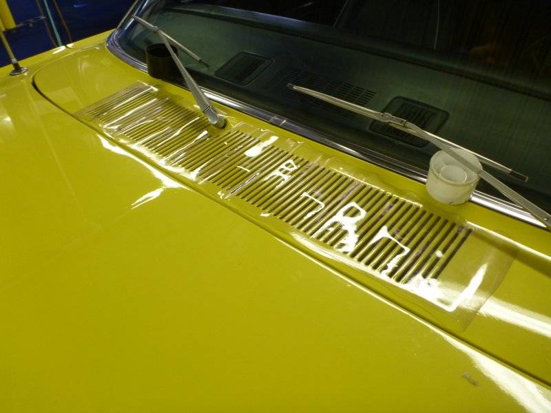 beebirdstorage 004.JPG