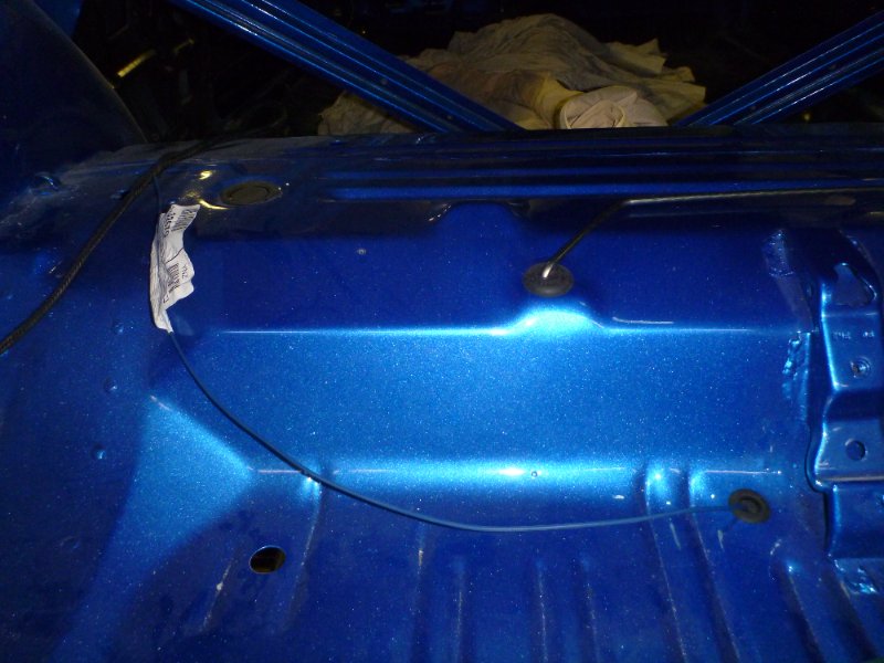 beerestoration2018 304.JPG