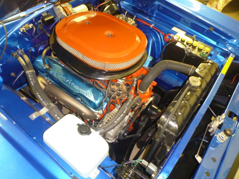 beerestoration2019part2 840.JPG