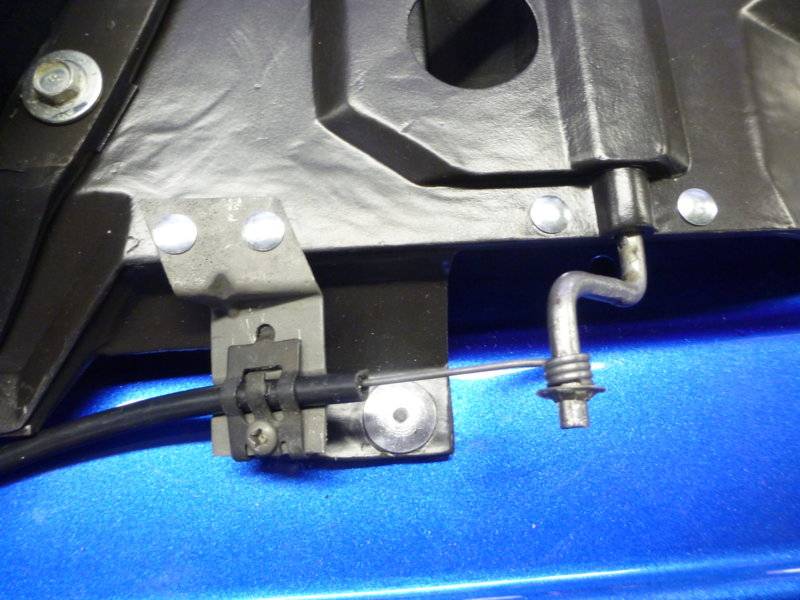 beerestorationfall2018 801.JPG