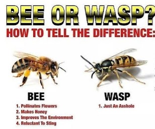 BeeWaspMemeFBmemeCenterDotCom.jpg