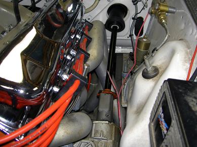Belvedere2 031.jpg