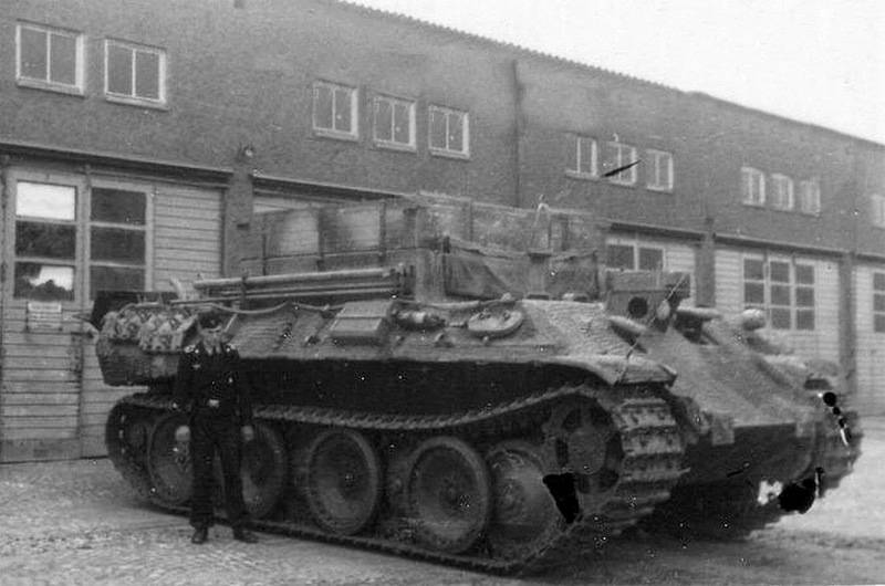 bergepanther.jpg