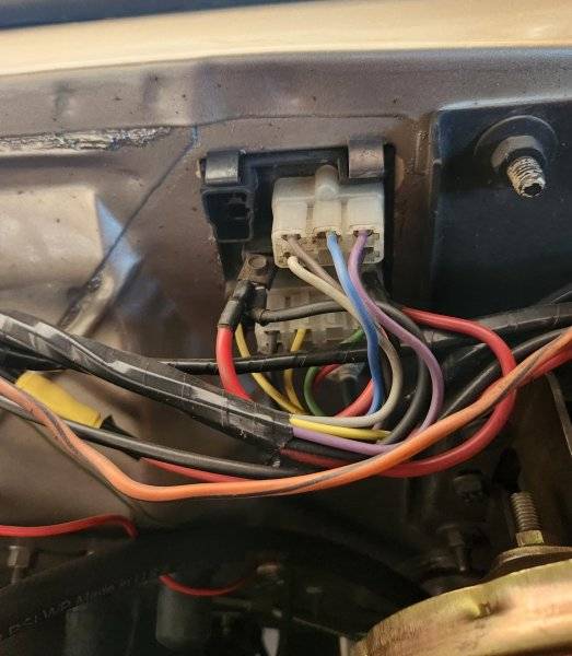 BH Amm Wire Loop.jpg