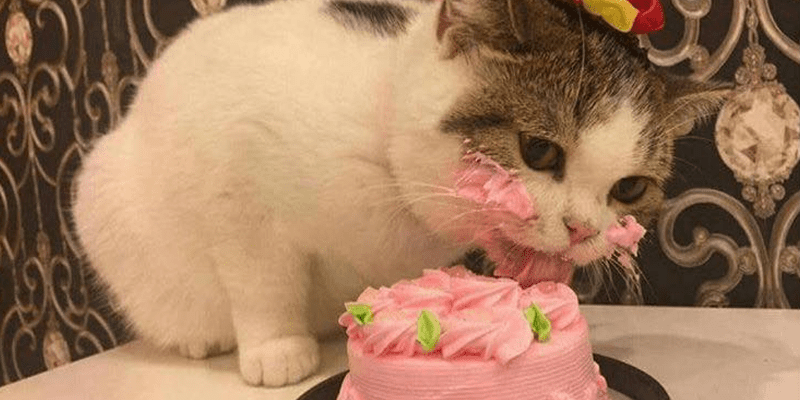 birthday-1200x600.png