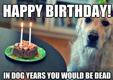 birthday-meme-for-dog.jpg