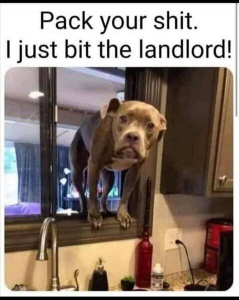 Bit.jpg