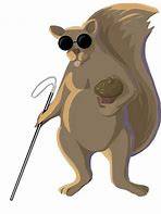 blind squirell.jpg