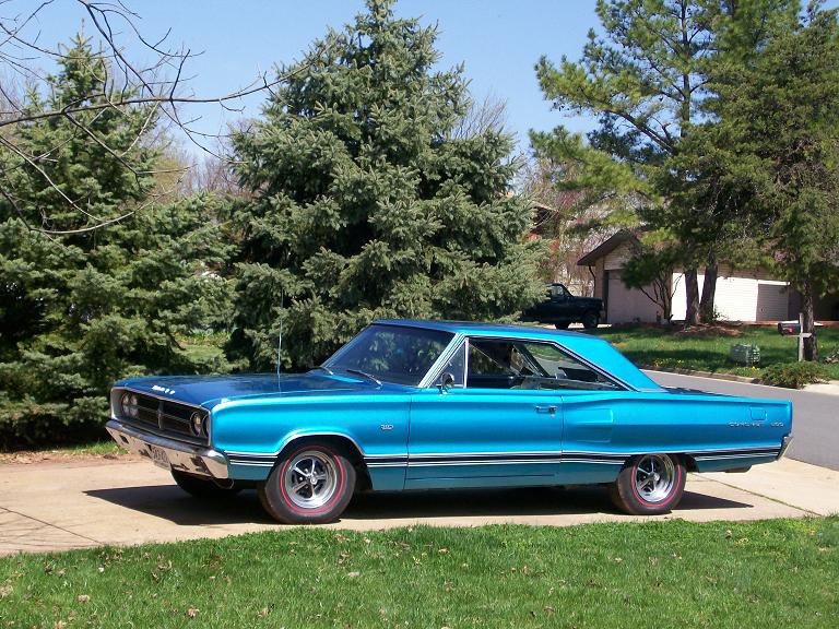 blue coronet 9.JPG