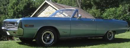 bluebird12.jpg