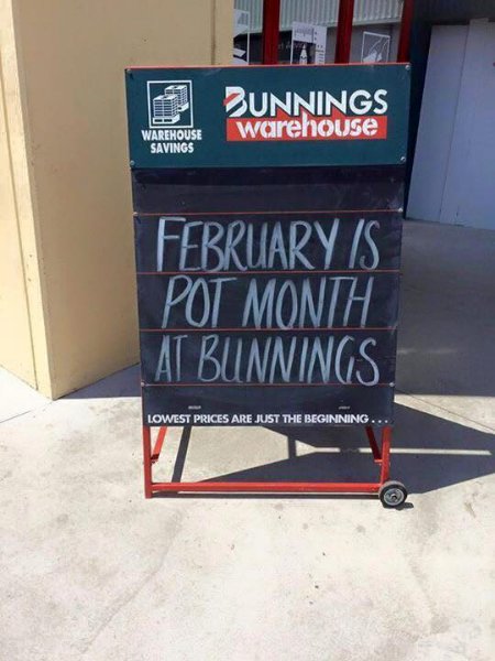 Bunnings.jpg