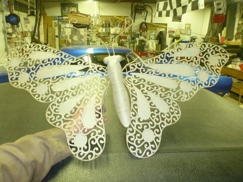 butterfly 014.JPG
