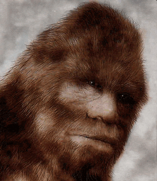 c95f162b3972.gif