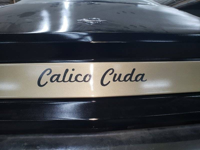 Calico Cuda.jpg