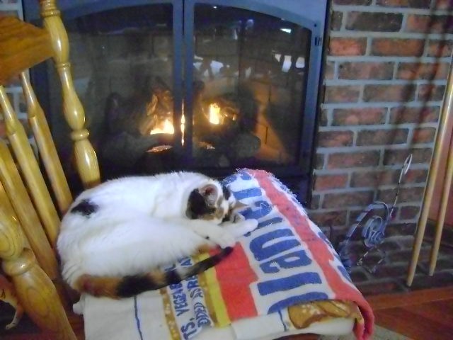 Callie fireplace 1.JPG