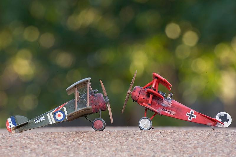 camel-fokker-02-L.jpg