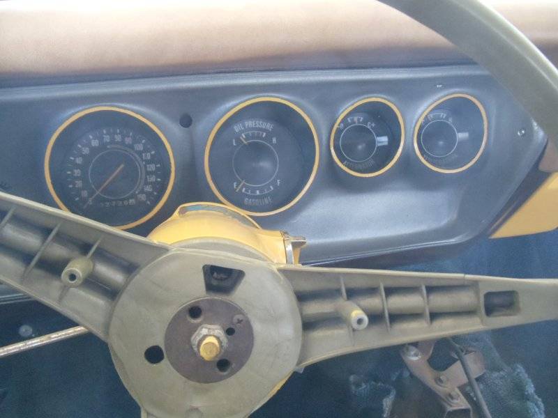 canario silver dash.jpg