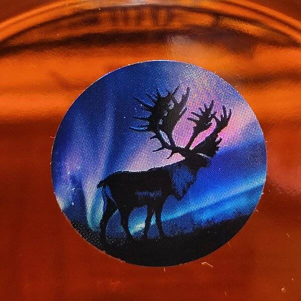 Caribou.jpg3.jpg