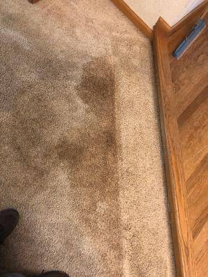 Carpet test 5;00.jpg