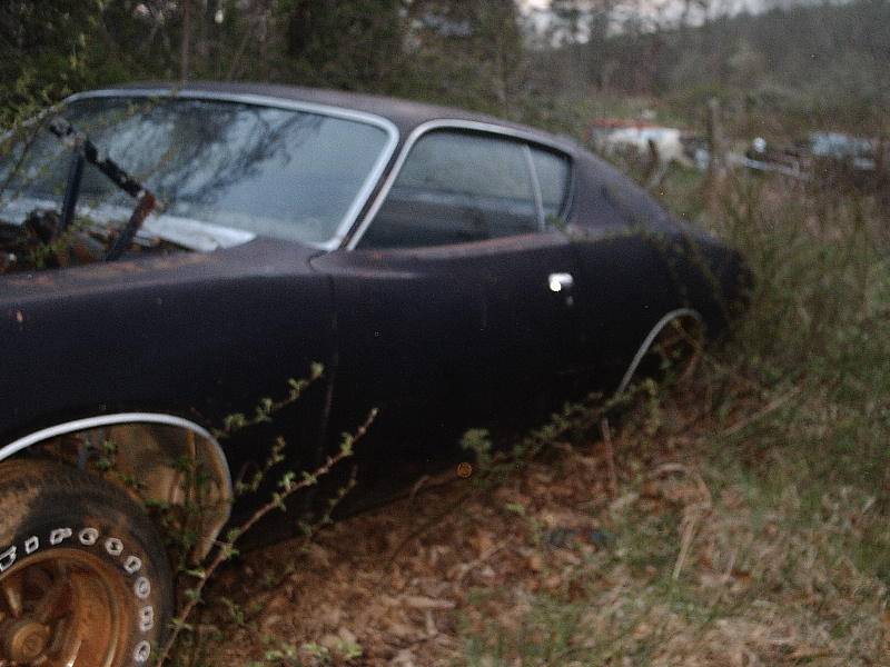 cars 014.jpg