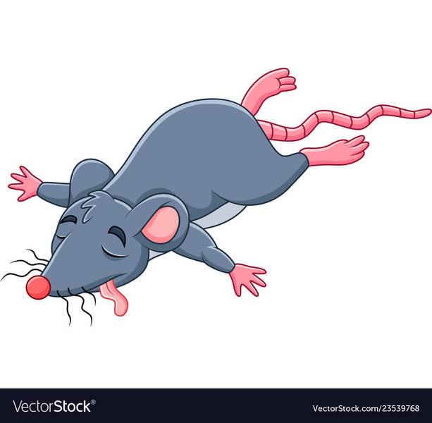 cartoon-dead-mouse-vector-23539768.jpg