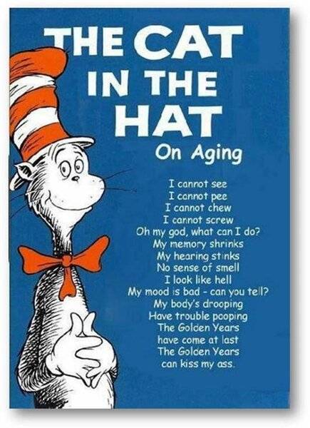Cat in the Hat - resized.jpg