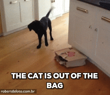 Cat out of bag.gif